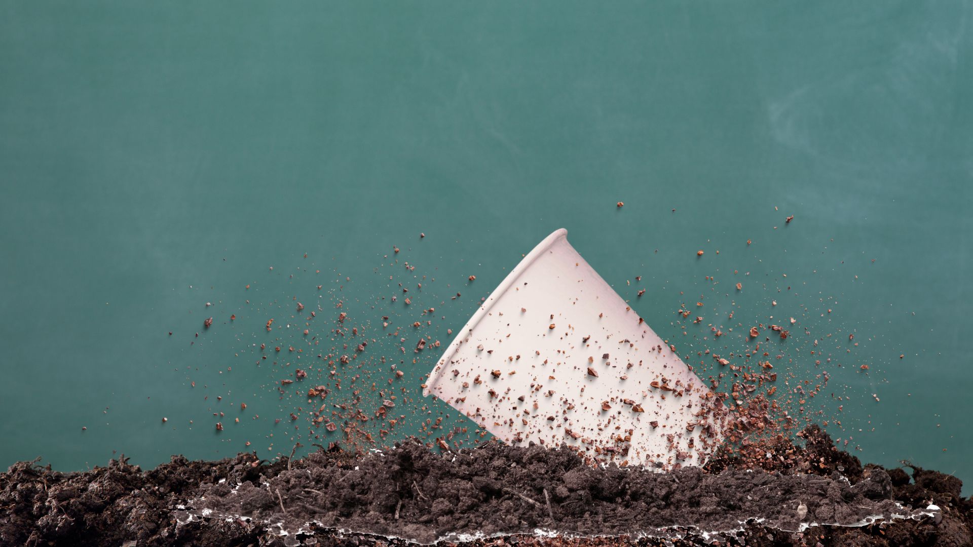 packaging compostabile